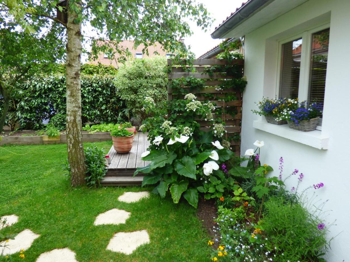 Bed and Breakfast Wissant L'Opale Zewnętrze zdjęcie
